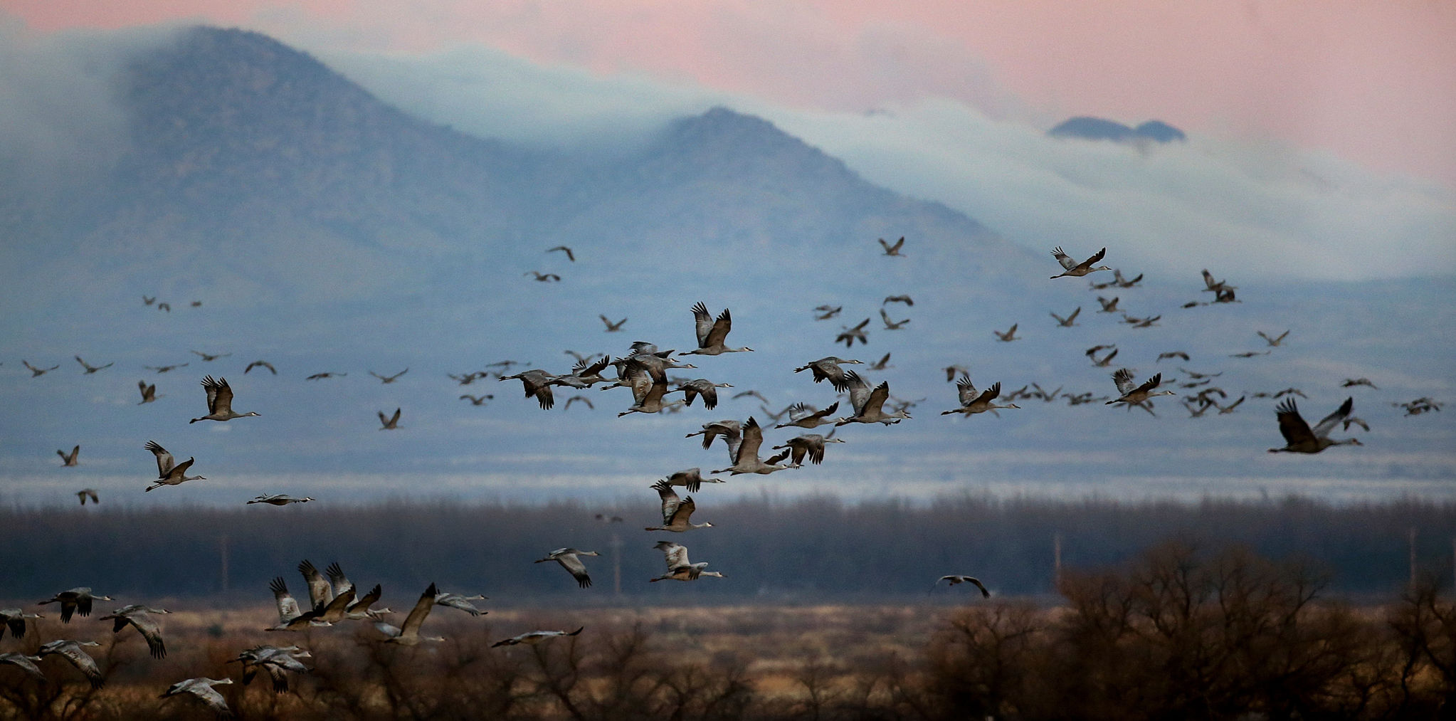 2018 Wings over Willcox